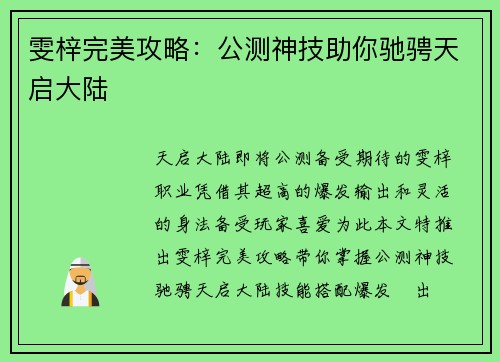 雯梓完美攻略：公测神技助你驰骋天启大陆